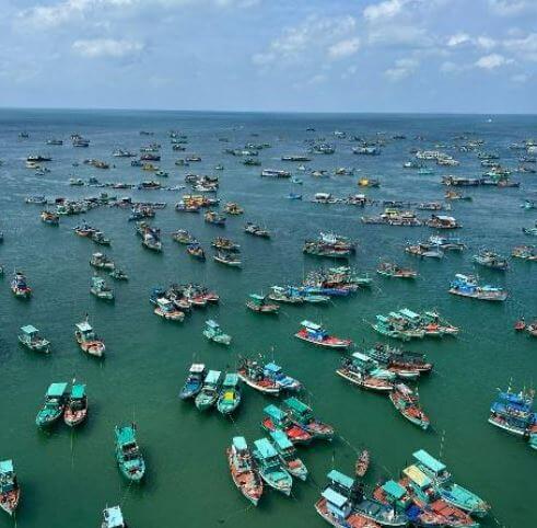 הנוף מהרכבל הימי בפו קוק